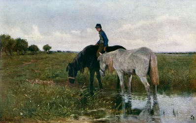 散水馬、1871年、1912年。