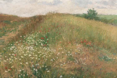 1897年夏。