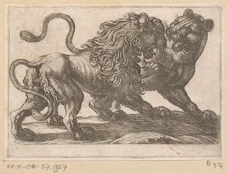 雌ライオンと戦うライオン 戦う動物（シリーズタイトル）