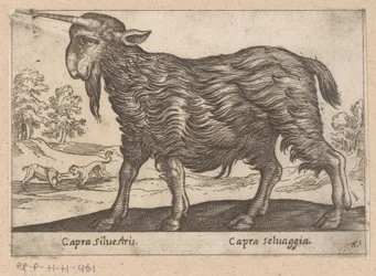 1 つの角を持つヤギ Capra Silvestris/ Capra Selvaggia (オブジェクトのタイトル) Dieren en fablewezens (シリーズのタイトル) 世界で最も好奇心旺盛な動物の新しいコレクション (シリーズ タイトル)