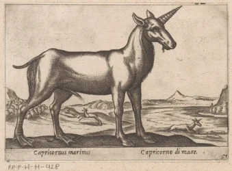 海の動物としての山羊座 Capricornus marinus/ Capricorno di mare (オブジェクトのタイトル) 動物と伝説の生き物（シリーズタイトル） Nova raccolta de li animali piu curiosi del mondo (シリーズタイトル)