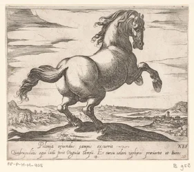 Steigerend paard naar rechts gewend Paarden uit verschiedelde landen (シリーズタイトル) これらのリーダーと一緒に、あなたはヴィロールの口を持つリーダーとして称賛されるでしょう。