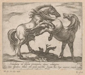トゥイー・パレンデ・パーデン Paarden uit verschiedelden landen (シリーズタイトル) これらのリーダーと一緒に、あなたはヴィロールの口を持つリーダーとして称賛されるでしょう。