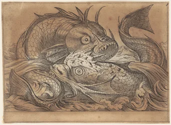 争う二匹の魚