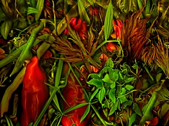別世界、2025年（写真）
