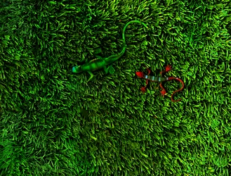 草-4;, 2014（写真）