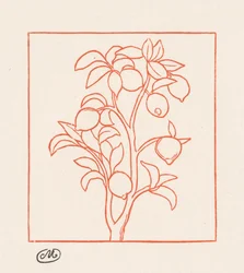 ジョージクス：レモンの木