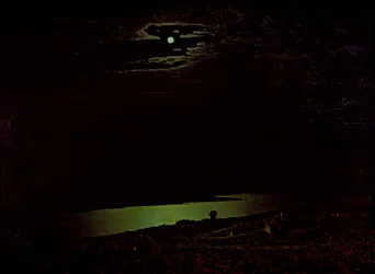 ドニエプル川の月夜1882