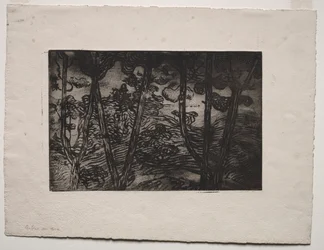 夜の木々、c。 1894