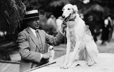 犬のショーで彼の犬と一緒に飼い主、イタリア、c.1905（ガラス板）