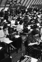 タイピスト、イタリア、1938年（ガラス板）