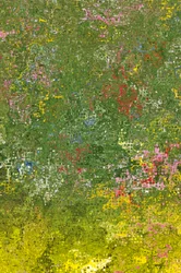 花の牧草地