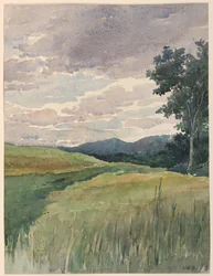 田舎の風景