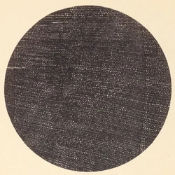 木材ソールズベリーの横断面の顕微鏡写真、1870 年代。