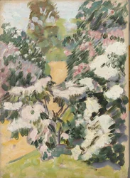 花、1900年頃