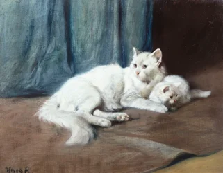 子猫と白いペルシャ猫（キャンバスに油彩）
