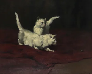 アーサー・ヘイヤー 甲虫を観察する子猫