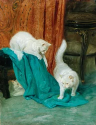 遊ぶ猫たち