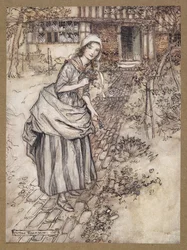 Maidens call it love-in-idleness