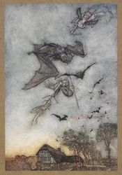 Some war with vere-mice for their leathern wings