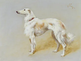 ボルゾイ犬（キャンバスに油彩）