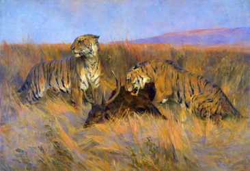 Tigers at Kill (キャンバスに油彩)