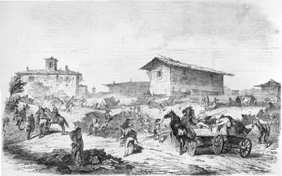 ベーシック・フクシンの戦い 1859