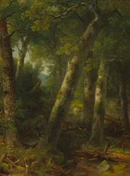 朝の光の森、c。 1855年。
