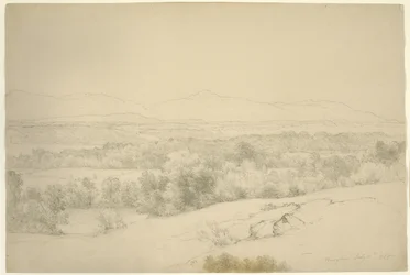 風景、ニューヨーク州バリータウン、1865年（茶色の紙に切り株が入ったグラファイト）