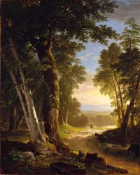 ブナ、1845
