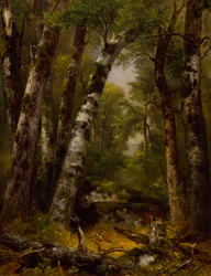 カリフォルニア州ウッドランド グレン 1850～1855年。