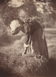 農民、c。 1870年。