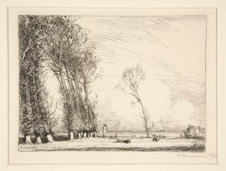 ポプラのカーテン (ヴァンデ)