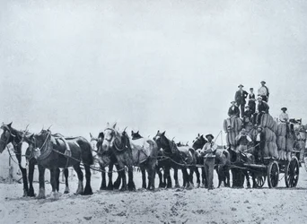 ウールキャリングチーム、西オーストラリア、c.1900、「サザンクロスの下-オーストラリアの垣間見る」、外務省、メルボルン、1908年発行