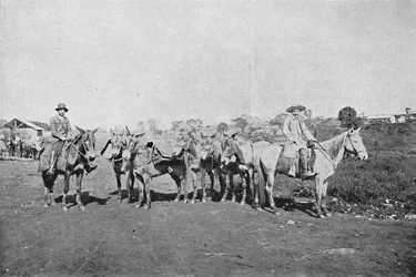 インテリアディーラー、インテリアのトレーダー、1895