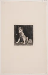 犬と蜂
