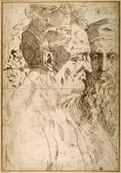 3人の男性の頭が並んでいる（紙にペン、茶インク、黒チョーク