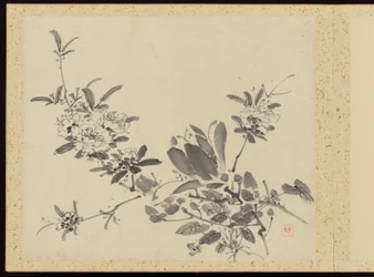 「四季精華」花画アルバム