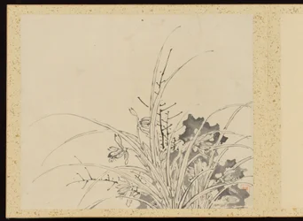 「四季精華」花画アルバム