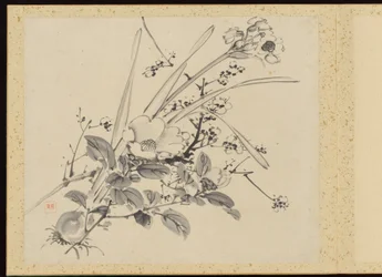 「四季精華」花画アルバム