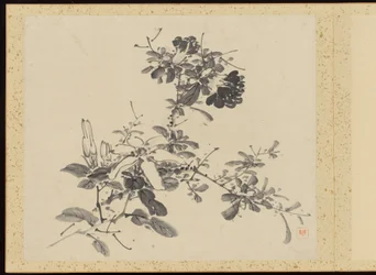 「四季精華」花画アルバム
