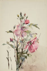 ピンクの花の茎（紙に水彩）
