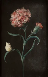 蝶のある静物画 4 点セット (パネルに敷かれた紙にガッシュ)