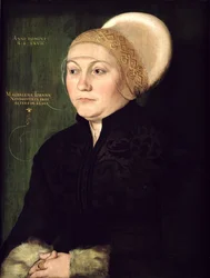 マグダレナ・ノイドルファーの肖像（1487-c.1544）1527