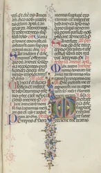 Missale：Fol。 260：果物のある葉、1469年。