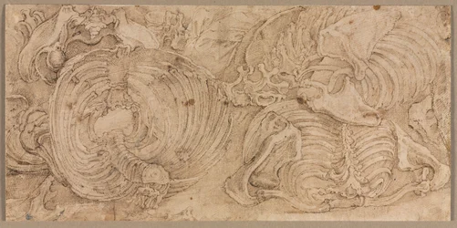 リブ・ケージ（1540年代前半