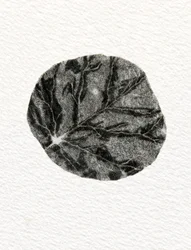 葉、2014年（紙に木彫り）