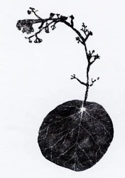 苔の葉、2014年（木版画、紙にコラージュ）