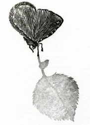 サスペンス、2014年（木版画、紙にコラージュ）