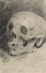 Study of a Skull   1446108   ja       japanese Successfully Translated  Original: Manna maria est quia est subtilis et splendida suavis et virgo, quae veluti coelitus veniens, cunctis ecclesiaru populis cibum dulciorem melle defluxis Translat: Manna maria 